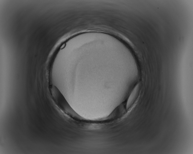 X0000084521506200703231619