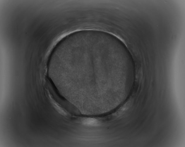 X0000084521507200703231619