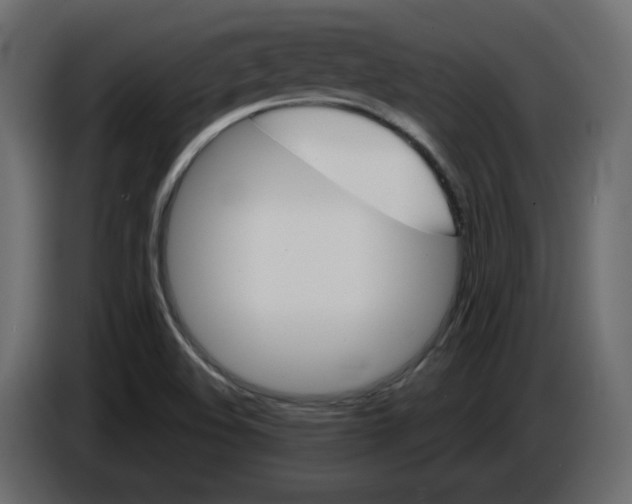 X0000084521508200703231619