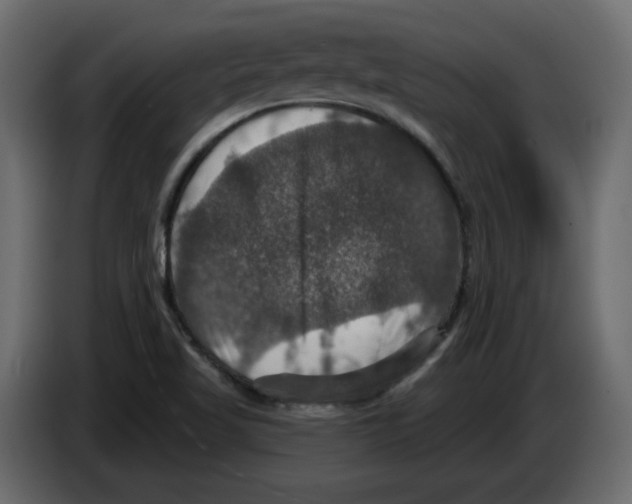 X0000084521509200703231619