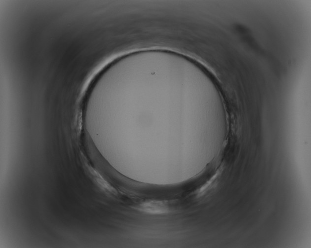 X0000084521510200703231619