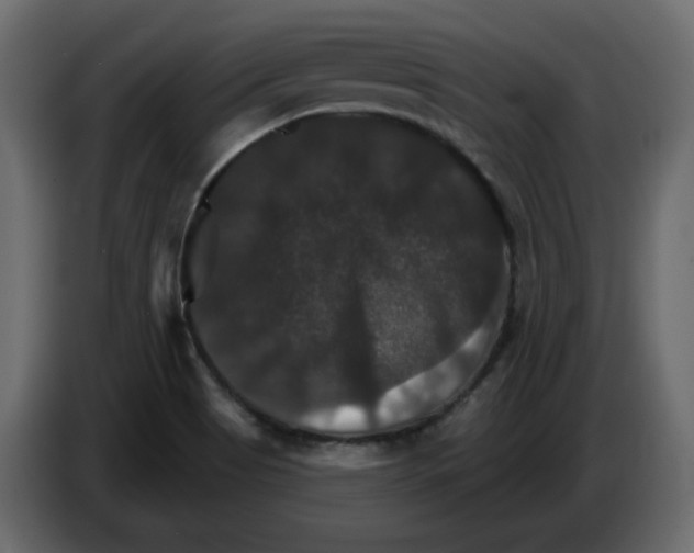 X0000084521513200703231619