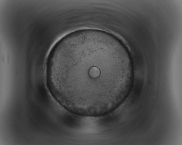 X0000084521514200703231619