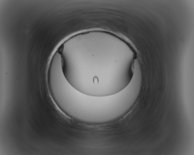 X0000084521516200703231619