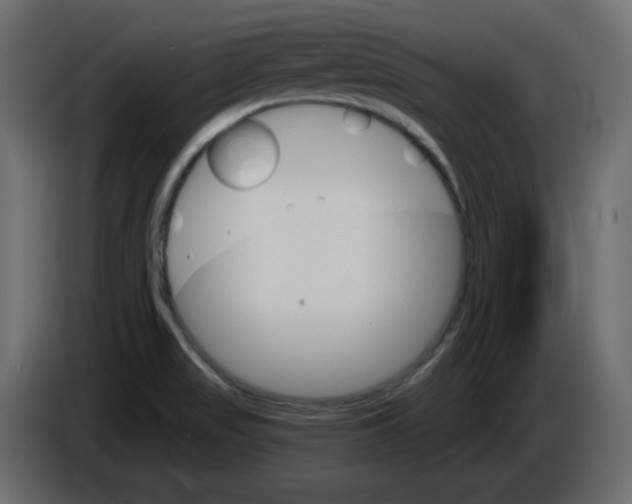 X0000084521517200703231619