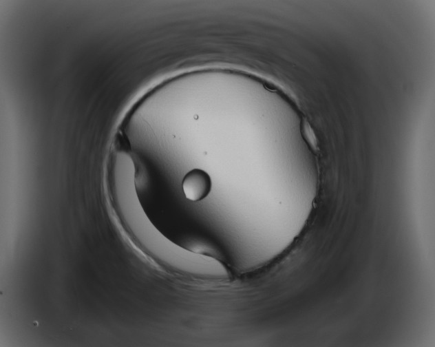X0000084521518200703231619