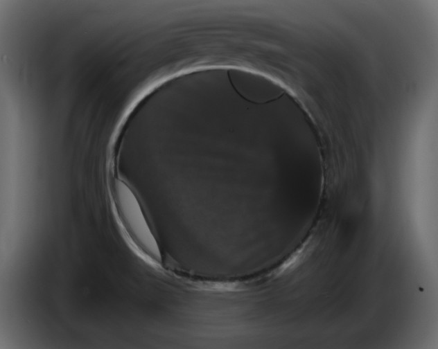 X0000084521519200703231619