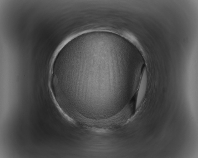 X0000084521520200703231619