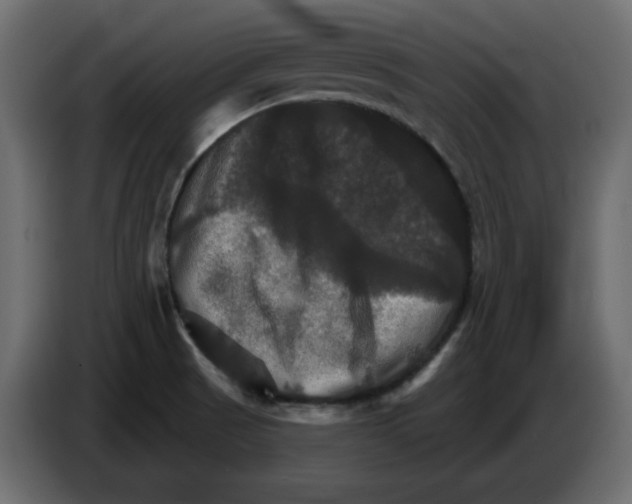 X0000084521521200703231619