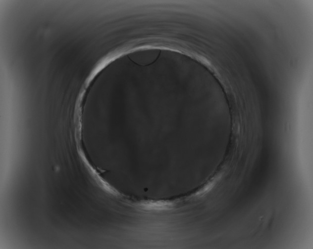 X0000084521522200703231619