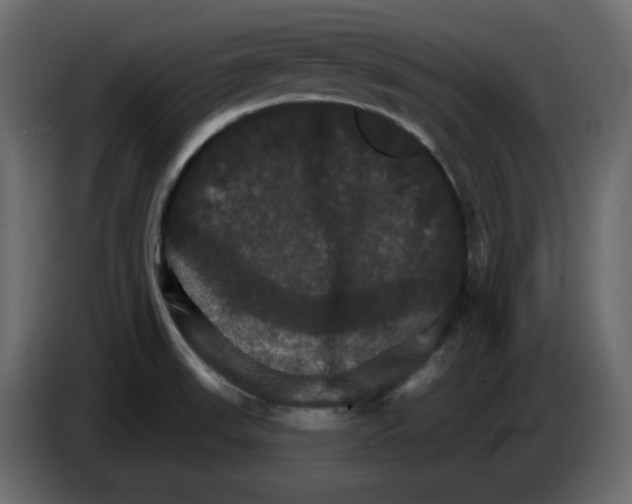 X0000084521523200703231619