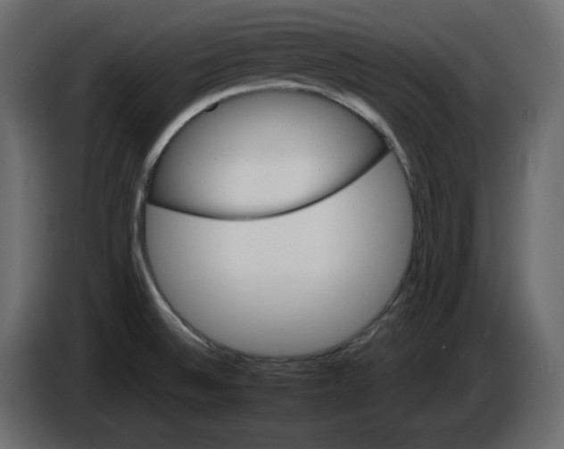 X0000084521524200703231619