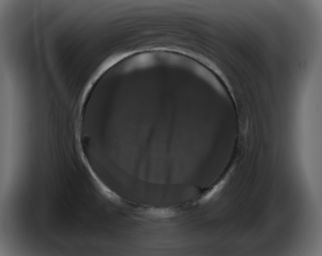 X0000084521525200703231619