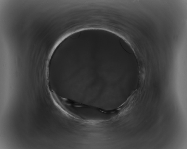 X0000084521527200703231619