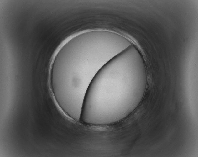 X0000084521528200703231619