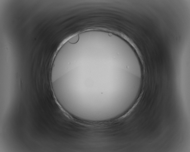 X0000084521529200703231619