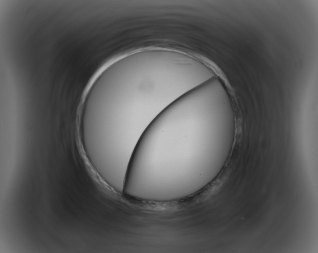 X0000084521530200703231619