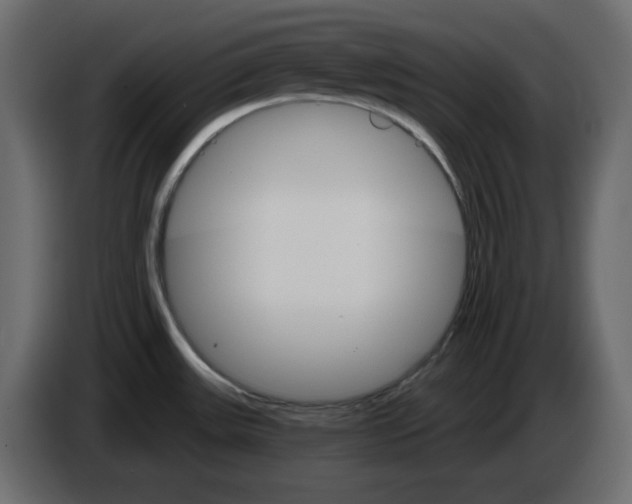 X0000084521531200703231619