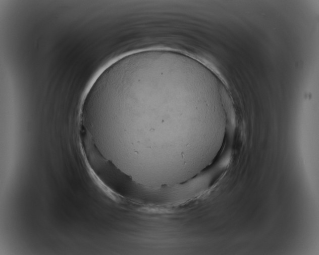 X0000084521532200703231619