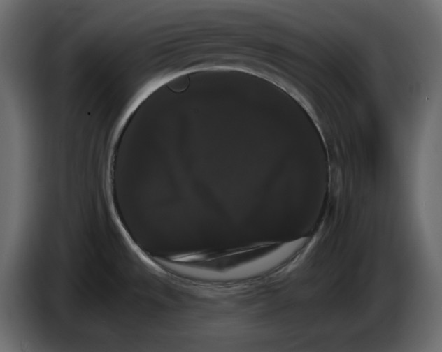 X0000084521533200703231619