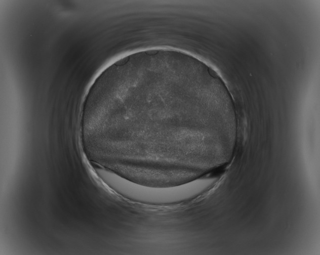 X0000084521534200703231619