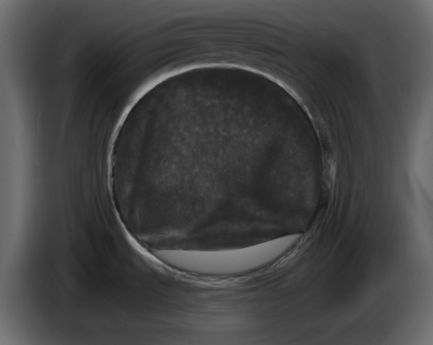 X0000084521535200703231619