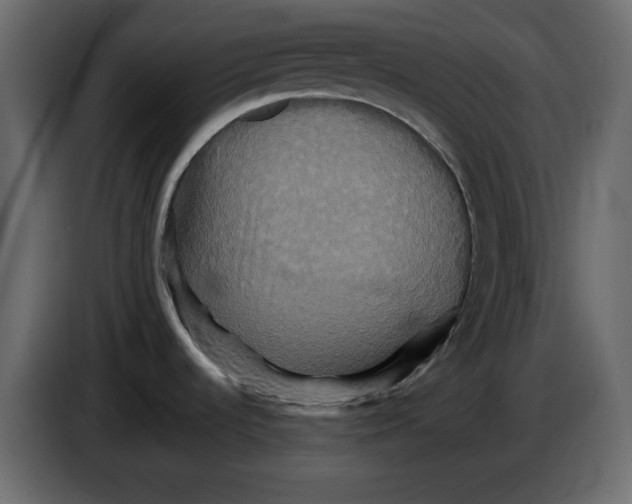 X0000084521536200703231619