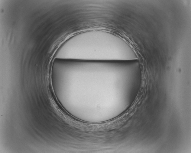 X0000084530002200702230850