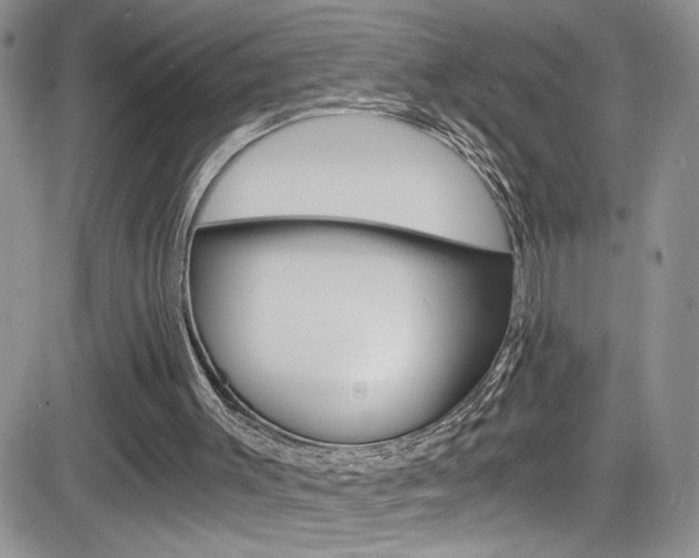 X0000084530003200702230850