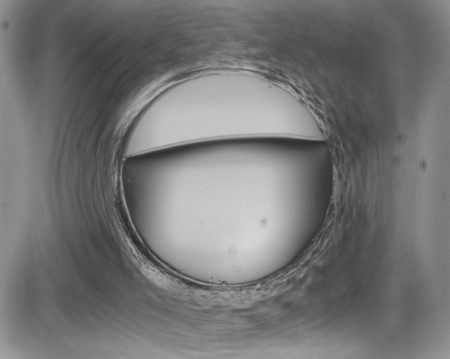 X0000084530005200702230850