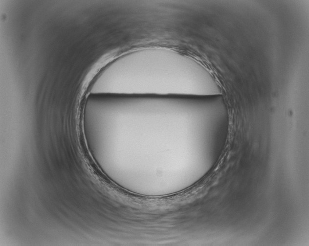 X0000084530006200702230850