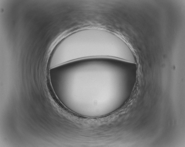 X0000084530007200702230850