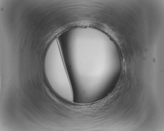 X0000084530013200702230850