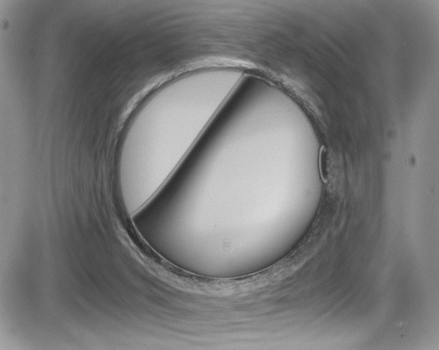 X0000084530015200702230850
