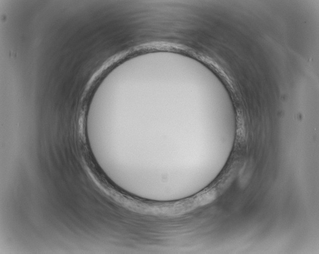 X0000084530016200702230850
