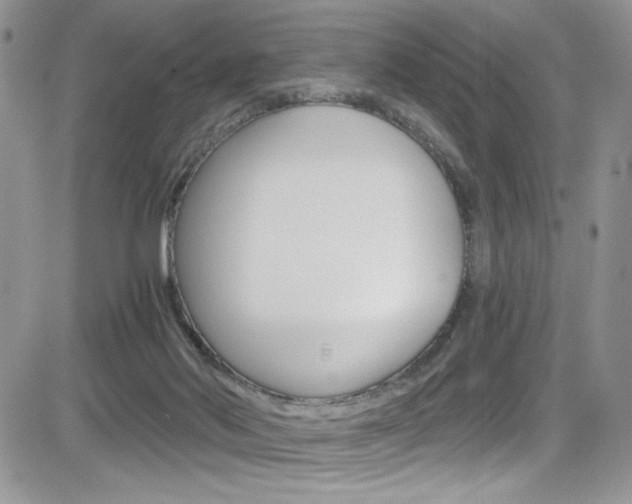 X0000084530022200702230850