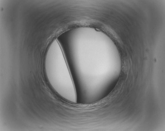 X0000084530023200702230850