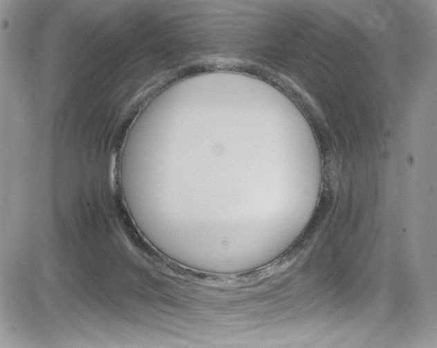 X0000084530024200702230850