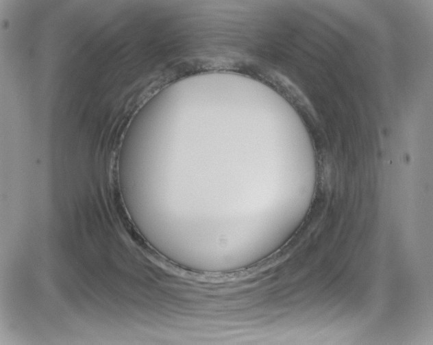 X0000084530026200702230850