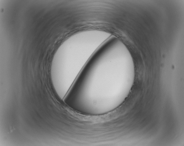 X0000084530031200702230850
