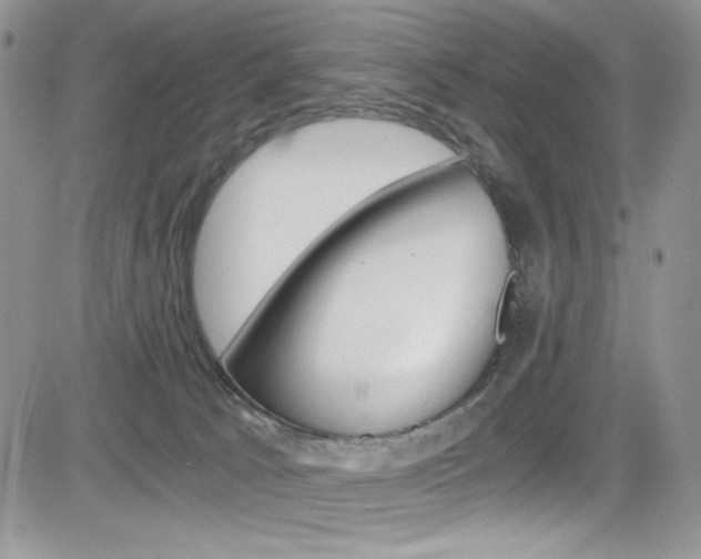 X0000084530033200702230850