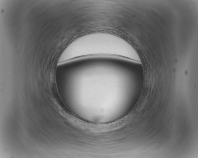 X0000084530039200702230849