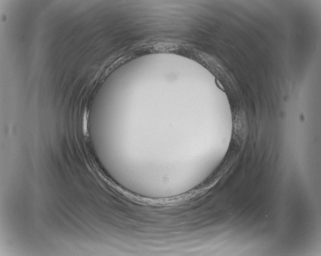 X0000084530046200702230849