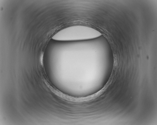 X0000084530047200702230849