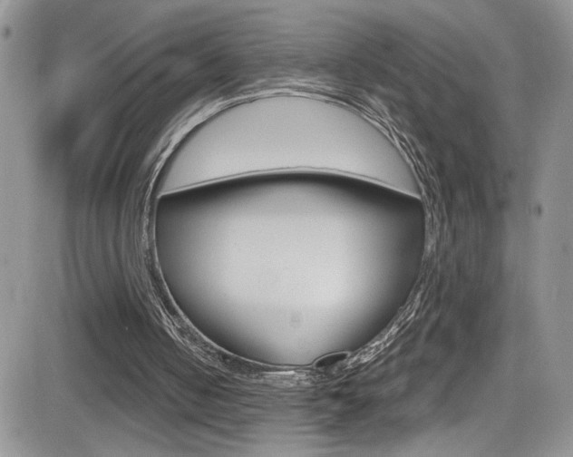 X0000084530050200702230849