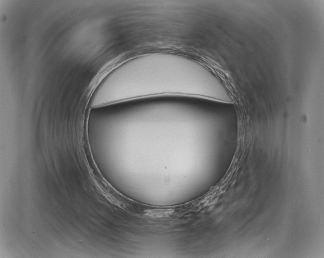 X0000084530051200702230849