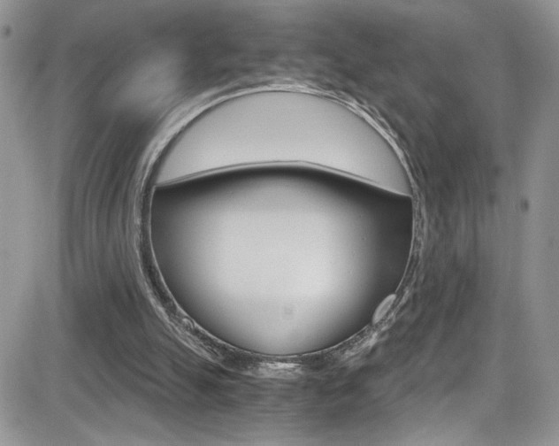 X0000084530055200702230849