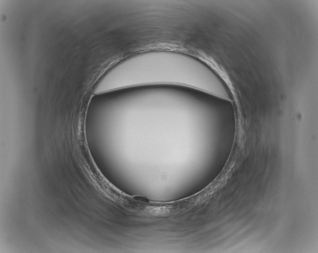X0000084530057200702230849
