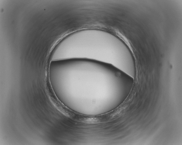 X0000084530059200702230849