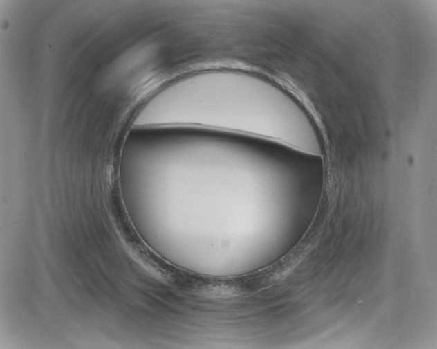 X0000084530063200702230849